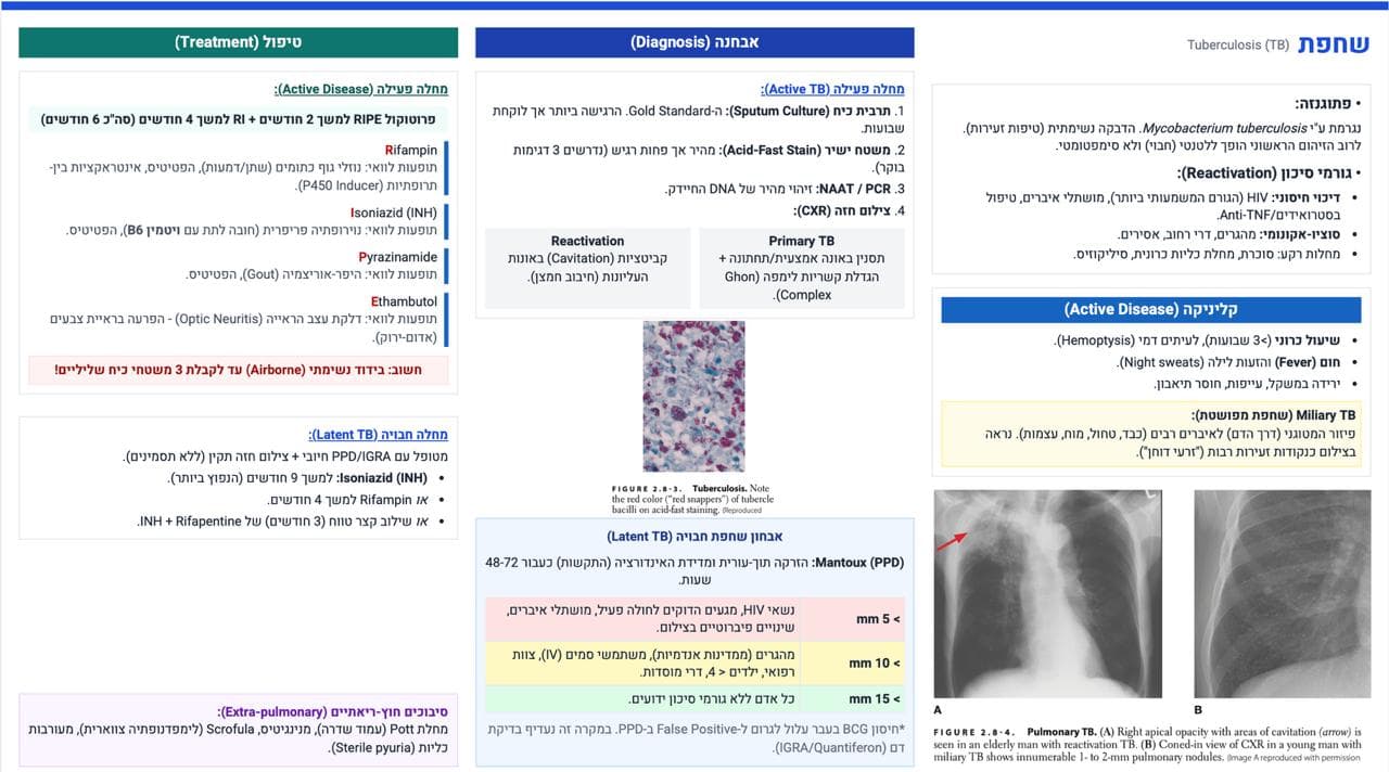 שחפת (Tuberculosis) — אבחנה וטיפול
