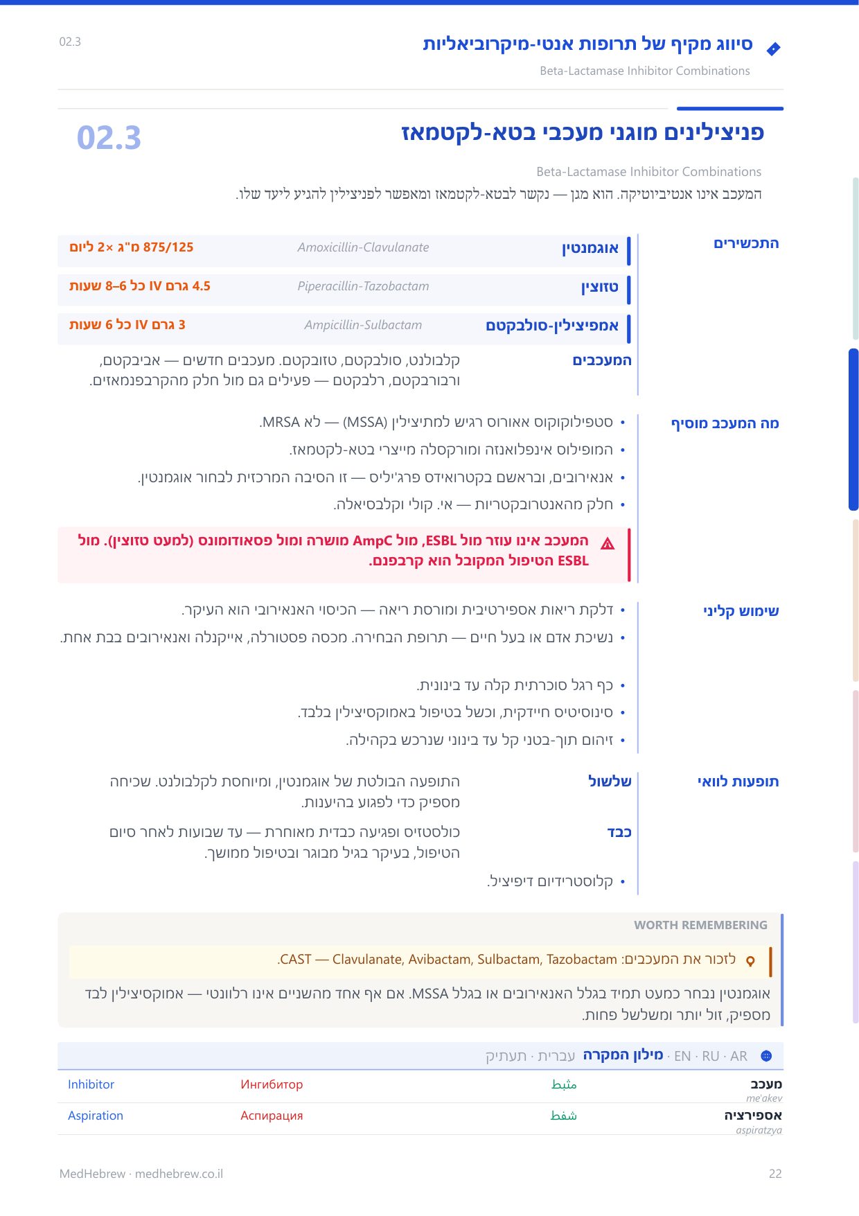 הצצה אל הספר