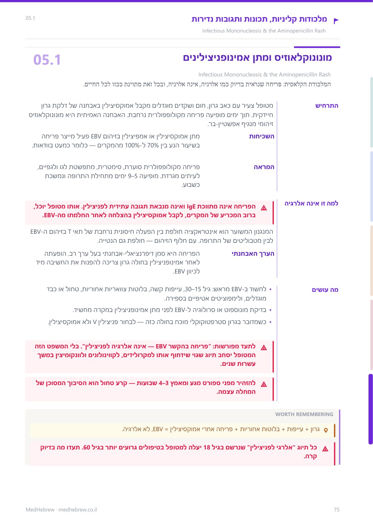 הצצה אל הספר